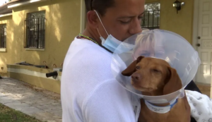 Tampa police are looking for a suspect in an armed robbery that shot and killed a dog.